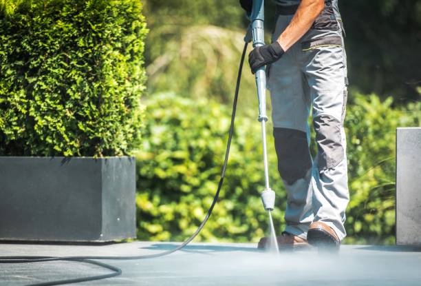 Best Driveway Pressure Washing  in North Westport, MA
